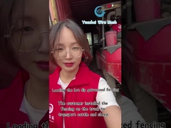 Panel de valla triangular de malla de alambre decorativa de alta seguridad, color personalizado