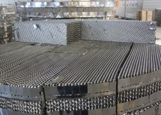 SS304/316 Metal Perforated Packing for Fine Chemical & Vacuum Distillation