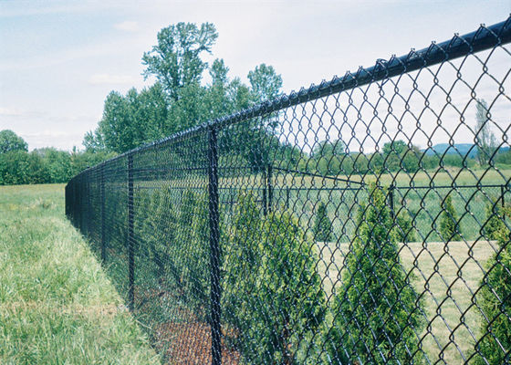 Caliente sumergido galvanizó el indicador temporal 4.0m m de Mesh Fencing 9 para la granja