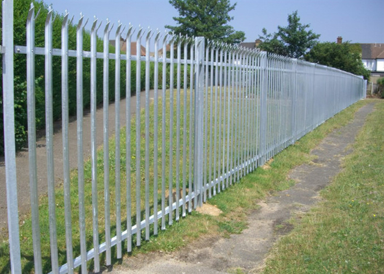 Barras de ángulo galvanizadas de acero cerco de palisada para seguridad D pálido