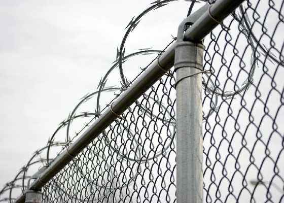 Concertina Razor Wire Coil Diseño de hoja afilada para la prevención de la intrusión