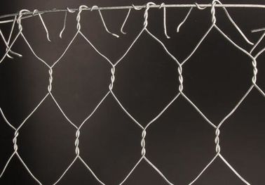 Tipo hexagonal de la malla de la alambrada de la tela metálica de pollo - indicador de alambre de 2 - de 3.5m m